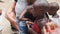 Local African Hungry Child Eats Paper on Street among People, Zanzibar, Africa