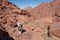 A local bedouin on its way to the summit of Mount Catherine, the highest mountain in Egypt.