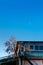 Local blue Japanese house with colourful autumn persimmon tree with fruits against blue clear sky