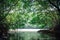 A local boat tour at Taloh Kapor Community, a coastal community with fertile mangrove forests in Pattani, Thailand