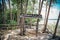 A local boat tour at Taloh Kapor Community, a coastal community with fertile mangrove forests in Pattani, Thailand