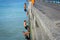 Local boys jumping of Tolaga Bay Wharf