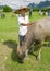 Local chinese farmer with water buffalo. Beautiful landscape in Yangshuo, Guangxi, China.