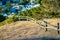 Local fence in a wooded area with wooden beams and grassy hill with a sunny tree and shady suburban neighborhood