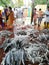 Local fish market in small remote village in Kerala.