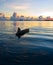 Local fisherman rows his boat during sunrise