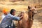 Local guide grooming his camel during safari, Thar desert, India