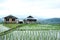 Local hut and homestay village on terraced Paddy rice fields on mountain in the countryside, Chiangmai Province of Thailand.
