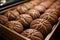 Local indulgence chocolate cookies arranged for sale in a store