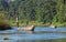 Local man traveling by rowboat at wild river in Chitwan National Park, Nepal