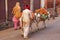 Local man walking with donkeys that are carrying bricks in Taj G