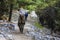 A local moving touristâ€™s luggage to Fairy Meadows