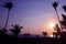 Local musicians, Asian man playing violin on the coconut beach at sunrise