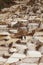 Local People working on Salt ponds, Maras, Peru