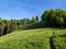 Local recreation area in Zurich Oberland.Beautiful hilly landscape with a lot of wildness with forest and flower meadows