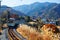 A local train travels on Seibu Chichibu Railway thru the idyllic countryside with fiery autumn trees on the mountainside & golden