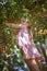 Local vacation at the farm. Girl picking cherry from the fruit tree standing on stepladder, lifestyle