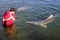 Local volunteer play with Australian Humpback Dolphins in Snapper Creek Queensland Australia