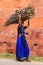 Local woman carrying bundle of firewood outside Taj Mahal complex in Agra, Uttar Pradesh, India