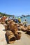 Local women are cleaning their baskets which were used for transporting fishes from the boat to the truck