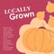 Locally grown products, organic natural pumpkins