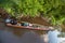 Locals float in the traditional papuan pirogue from a tree trunk