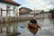 Locals move around the streets by boat. The Ob river, which came out of the banks, flooded the outskirts of the city.