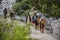 Locals moving touristâ€™s luggage on horses from Fairy Meadows