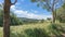 Location photos wide grass field The tall grass sways in the wind.