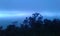 Location by Rammale frorest, srilanka. early monnig [Blue sky.]
