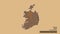 Location of Roscommon, county of Ireland,. Pattern