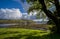 Loch Harport scene