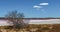 Loch Lel - pink lake in Victoria, Australia.