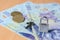 Lock and key on Romanian  banknotes and coins  representing concept of financial control in the European Union. The economic