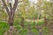 A locked iron gate in front of an empty space between trees in Blatenska street in czech city of Chomutov in spring after rain