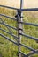 Locked metal framed farm gate