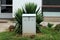 Locked outdoor metal electrical meter box mounted on concrete foundation surrounded with flowers and plants in front of small