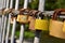 Locked padlocks