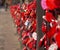 Locked red locks of lovers on an iron fence