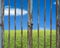 Locked rusty door with beautiful landscape, green meadow blue sk