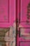 Locked wooden old door, pink, ruined, peeling color.