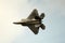 Lockheed Martin F-22 Raptor is a military supersonic  stealth fighter aircraft