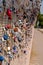 Locks on a chain link fence