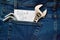 Locksmith keys in jeans pocket, note with the inscription `Need  Job`