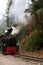 Locomotive in forest