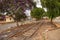 Locomotive tracks in the municipality of Catalao, in Goias.