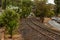 Locomotive tracks in the municipality of Catalao, in Goias.