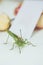Locust or grasshopper on a white table close-up on a blurred background. live green harmful insect in macro. katydid. copy space.
