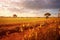 locusts swarming over a vibrant african crop field