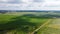 Lodged cereals after storm and hail. Ripening rye. Has suffered from bad weather. Aerial photography